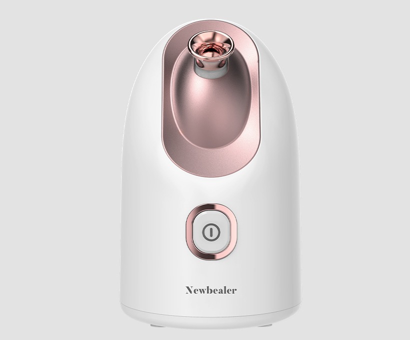 Mini Face Steamer