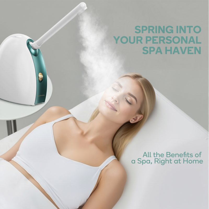facial steamer