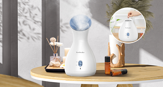 Facial Steamer