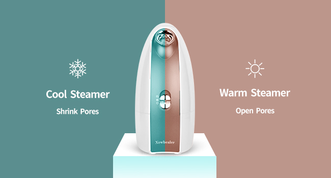 Facial steamer